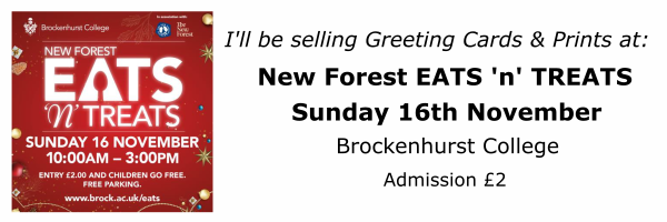 EatsnTreats2025 Eats 'n' Treats Brockenhurst